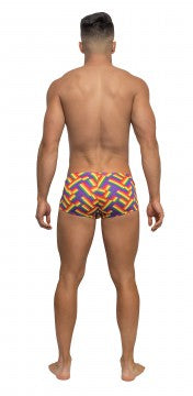 Pride Fest - Mini Short - Medium - Print