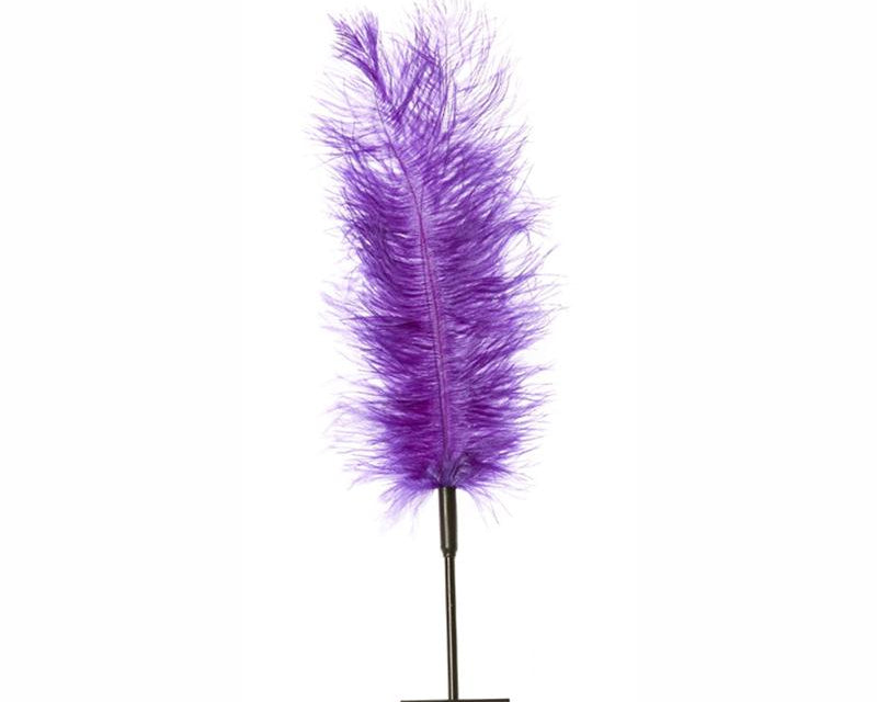 Sportsheets Ostrich Feather Tickler - Black