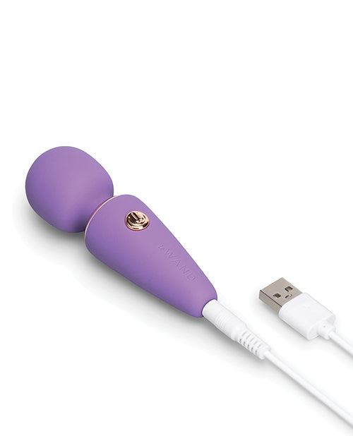 Le Wand Mini Micro Wand violet displayed on packaging showing product details